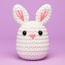 Load image into Gallery viewer, Rabbit DIY Learn-to-Crochet Kit
