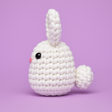 Load image into Gallery viewer, Rabbit DIY Learn-to-Crochet Kit